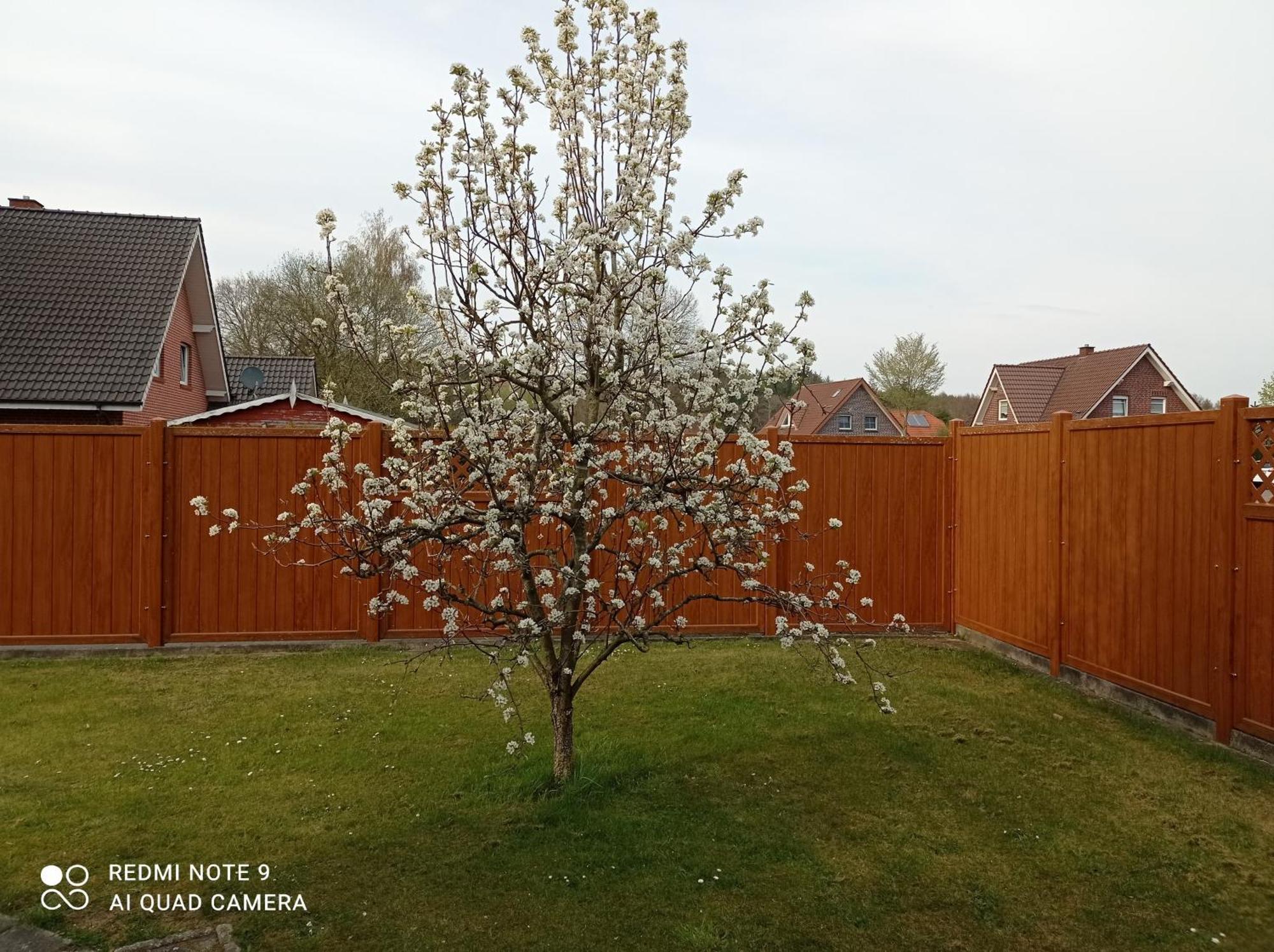 Ferienwohnung Gerda Lathen ภายนอก รูปภาพ